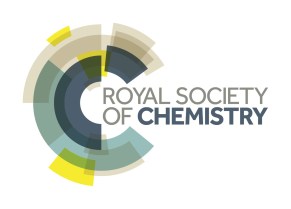 RSC_LOGO_CMYK_FINAL